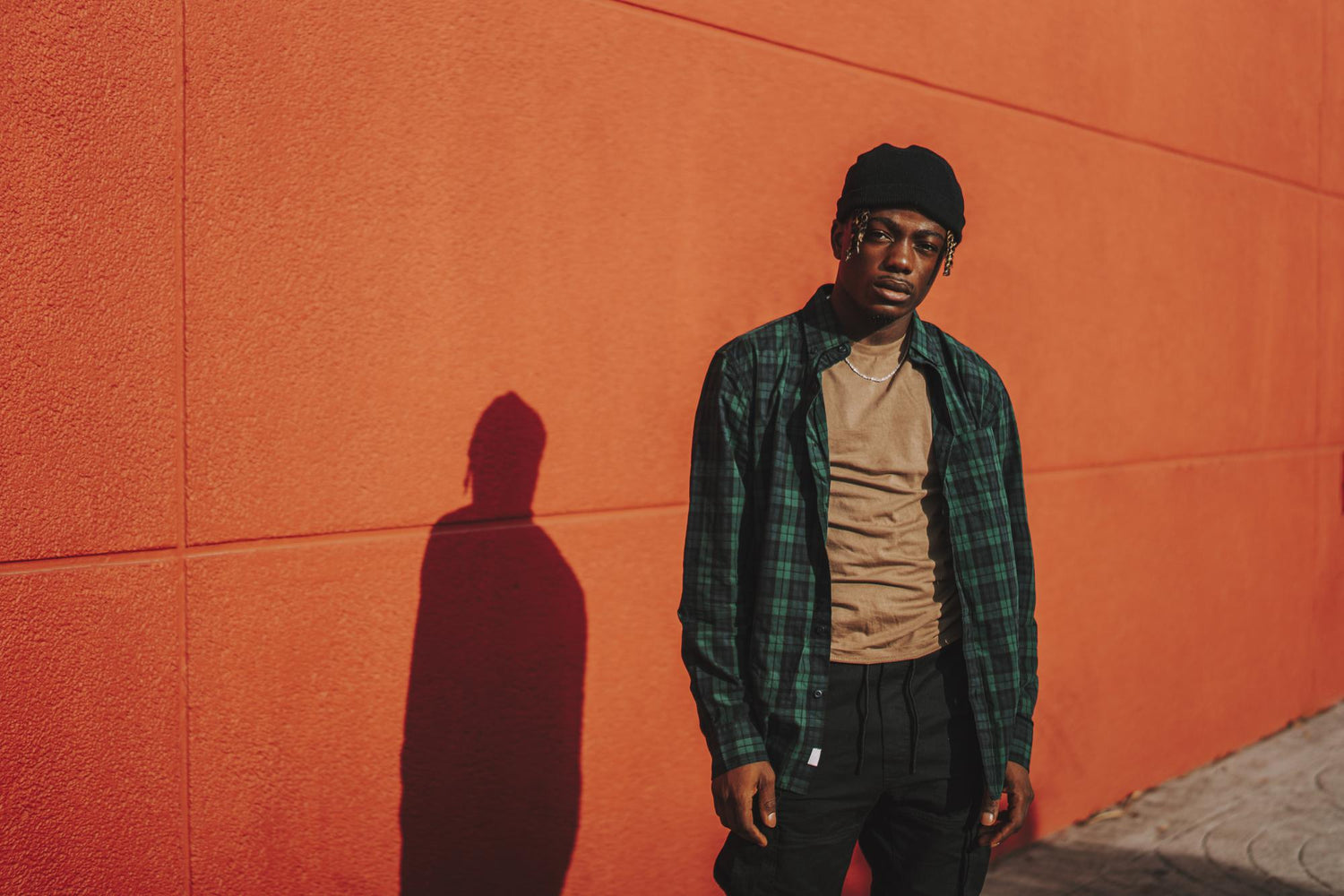 Image with text section